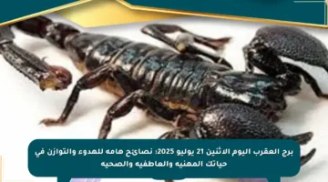 برج العقرب اليوم الاثنين 21 يوليو 2025: نصائح هامة للهدوء والتوازن في حياتك المهنية والعاطفية والصحية